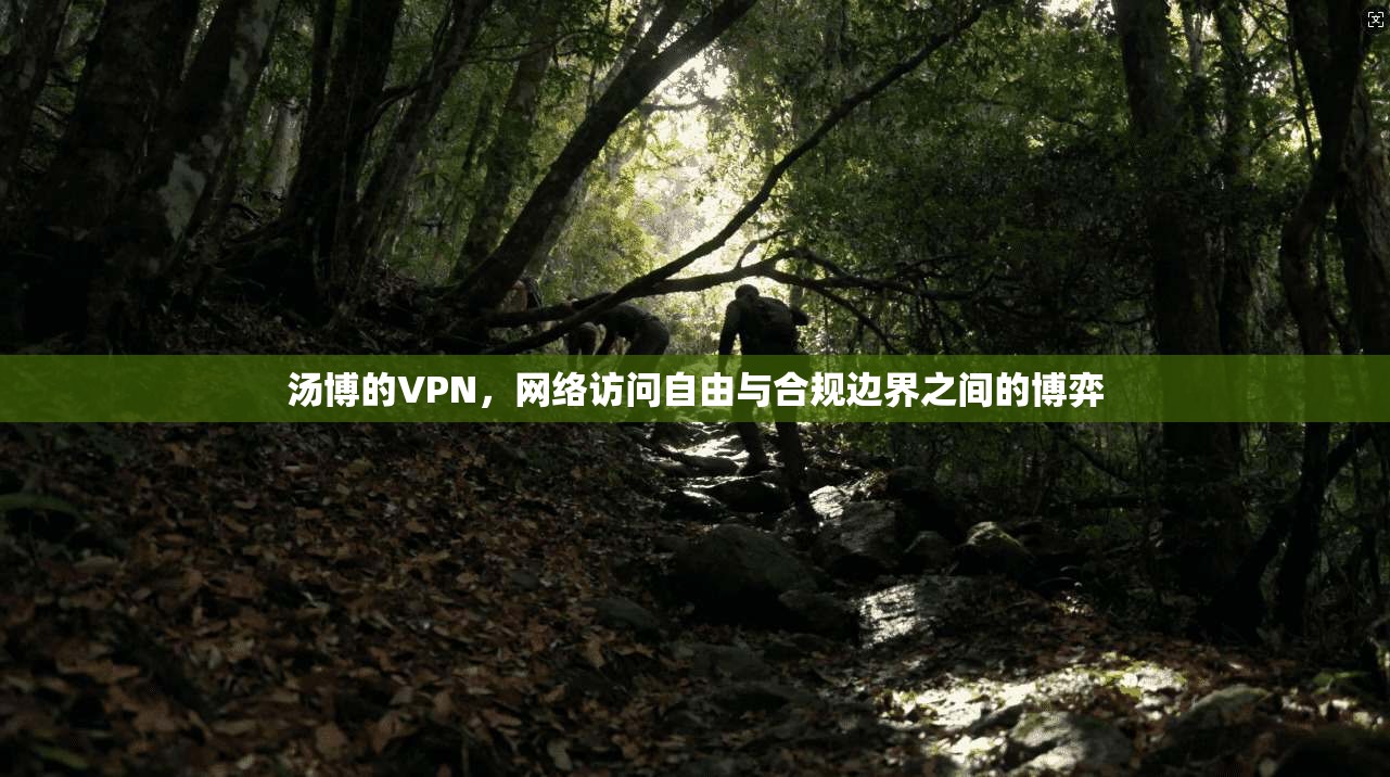 汤博的VPN，网络访问自由与合规边界之间的博弈