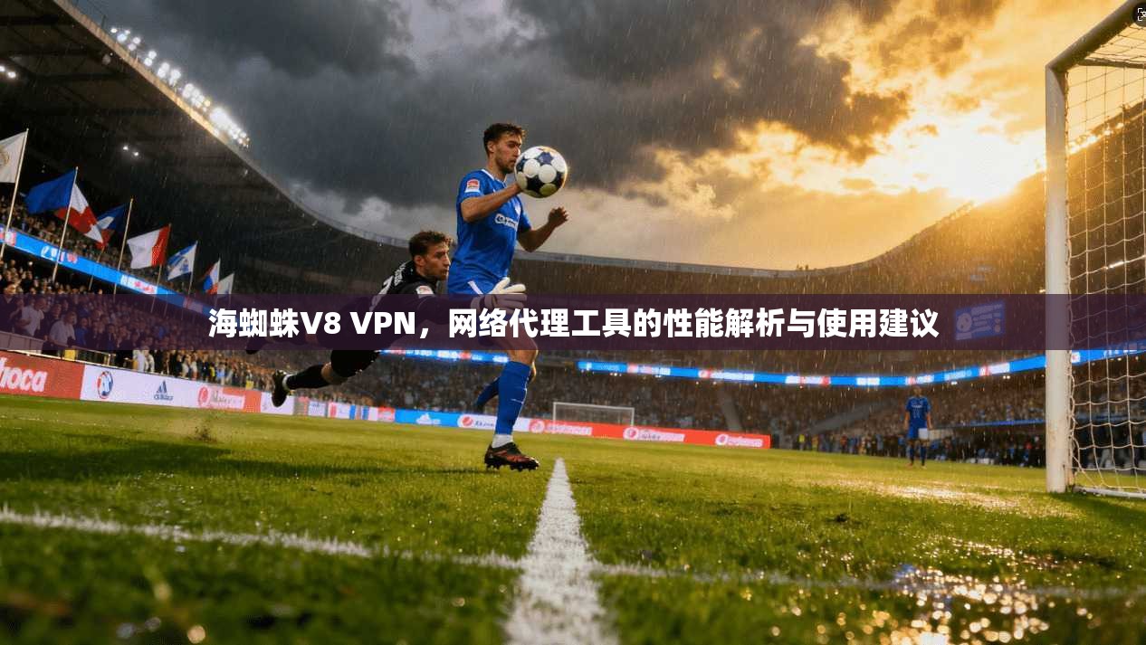 海蜘蛛V8 VPN，网络代理工具的性能解析与使用建议