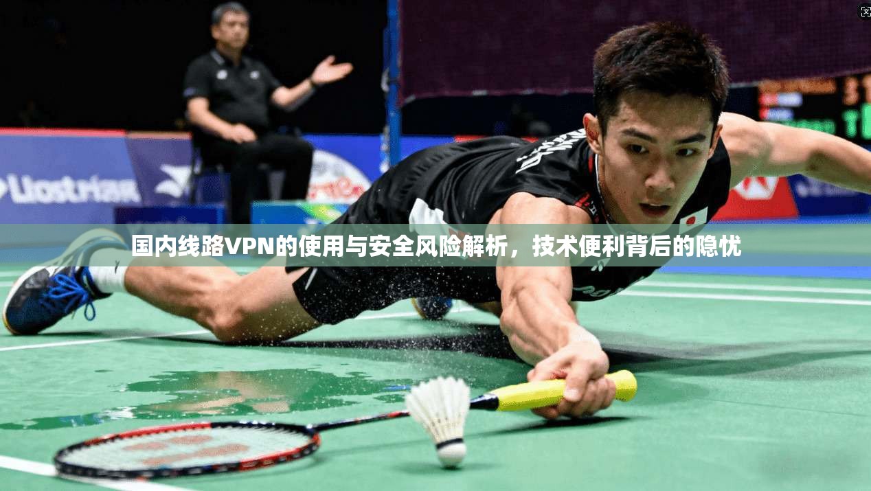 国内线路VPN的使用与安全风险解析，技术便利背后的隐忧
