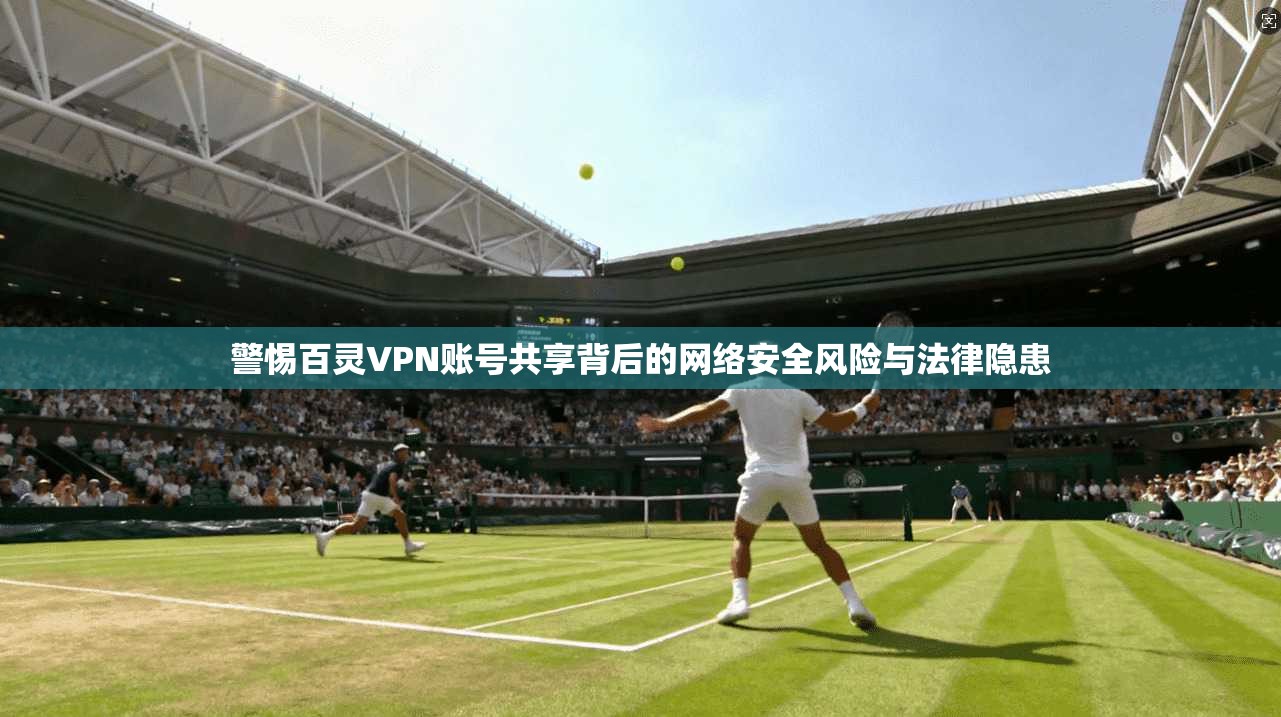 警惕百灵VPN账号共享背后的网络安全风险与法律隐患