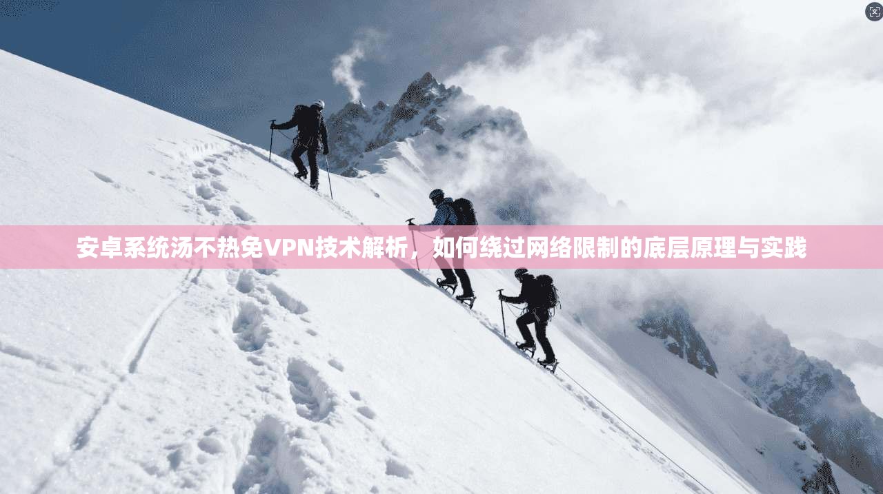 安卓系统汤不热免VPN技术解析，如何绕过网络限制的底层原理与实践