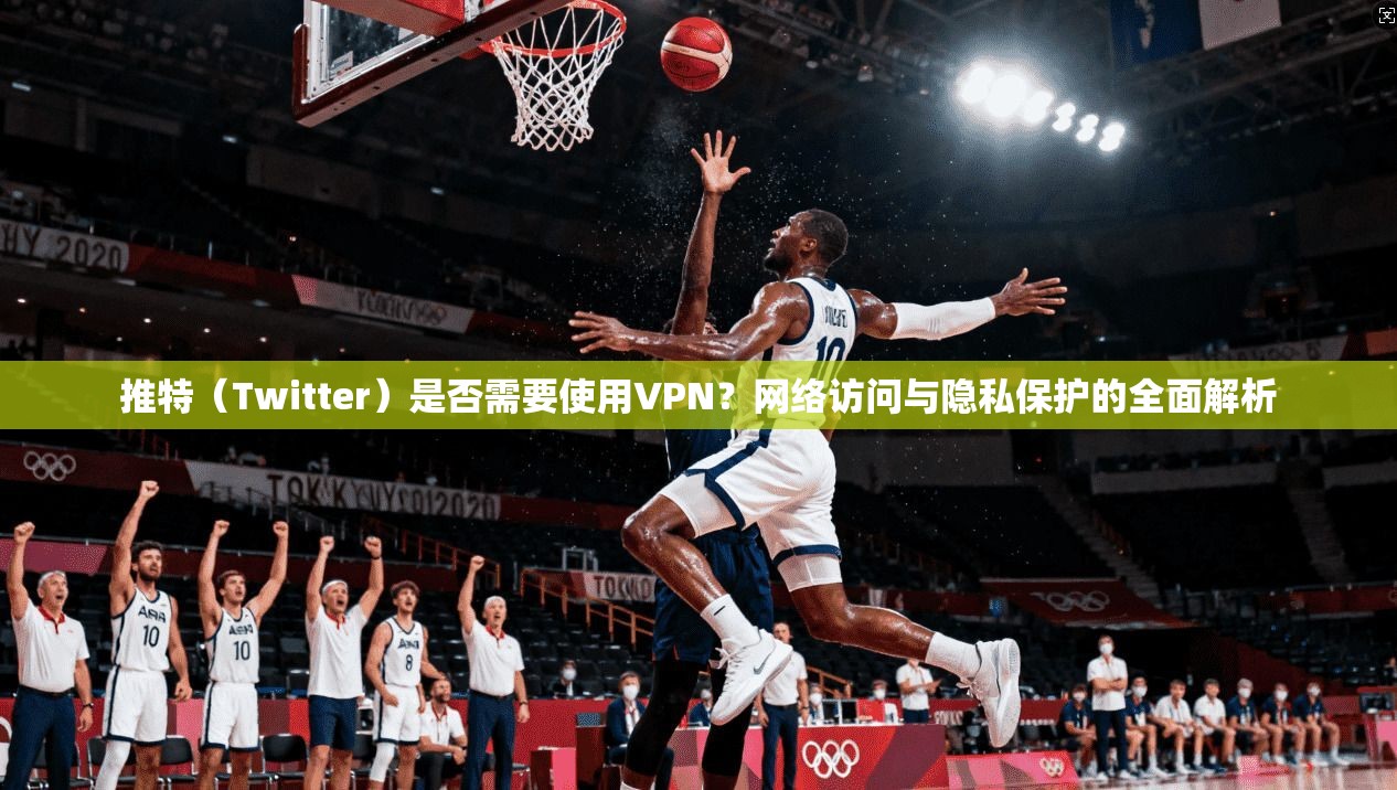 推特（Twitter）是否需要使用VPN？网络访问与隐私保护的全面解析