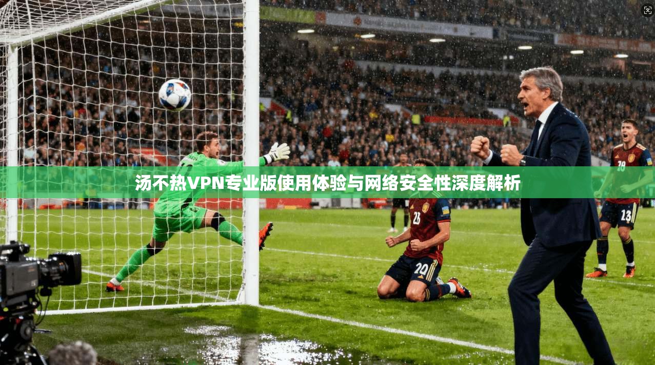 汤不热VPN专业版使用体验与网络安全性深度解析
