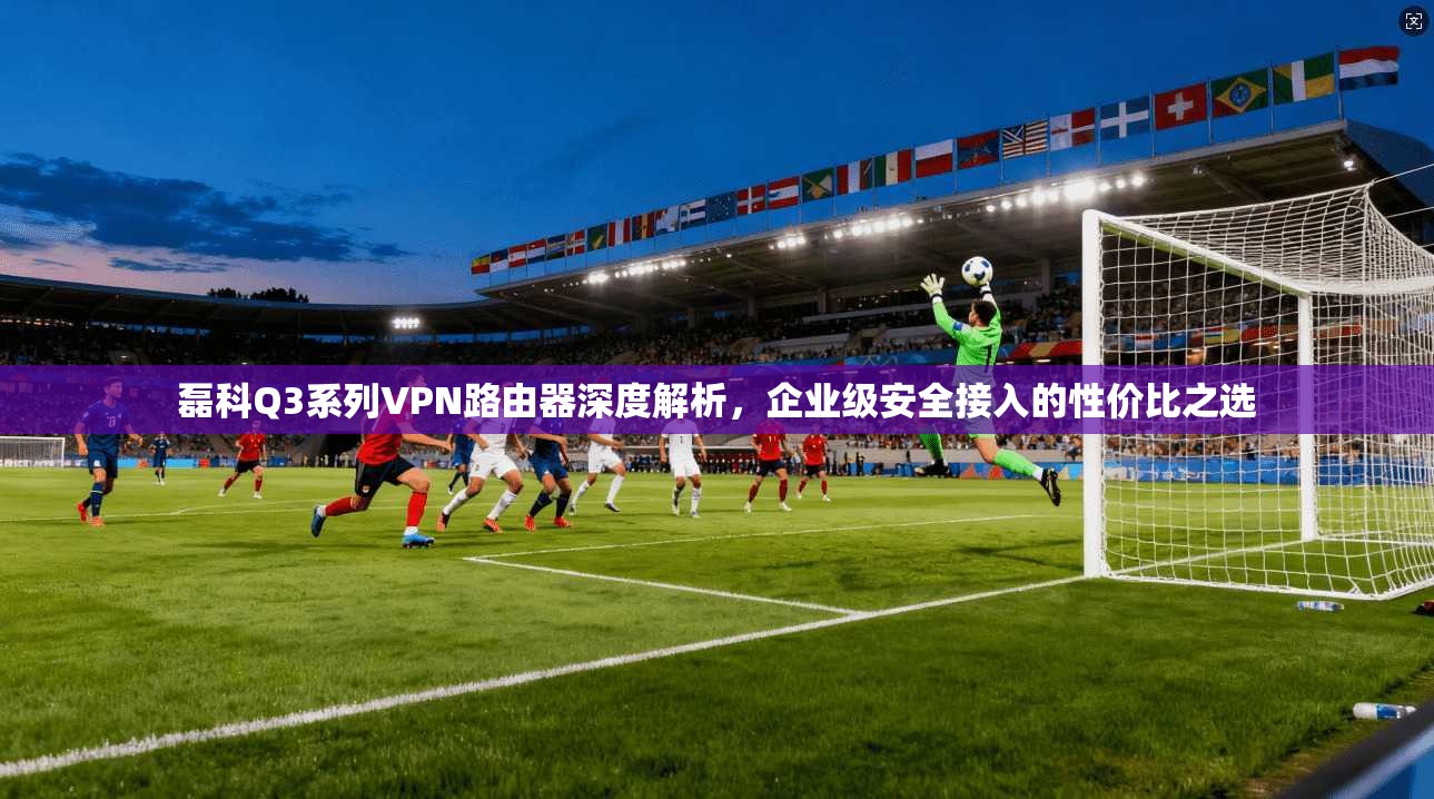 磊科Q3系列VPN路由器深度解析，企业级安全接入的性价比之选