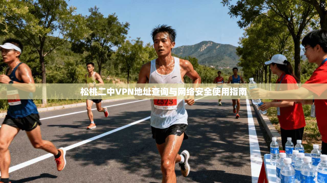 松桃二中VPN地址查询与网络安全使用指南