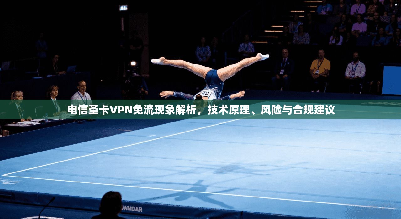 电信圣卡VPN免流现象解析，技术原理、风险与合规建议