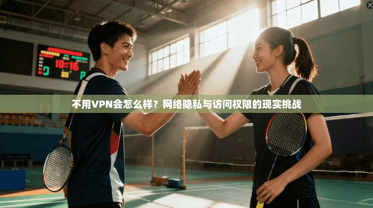 不用VPN会怎么样？网络隐私与访问权限的现实挑战