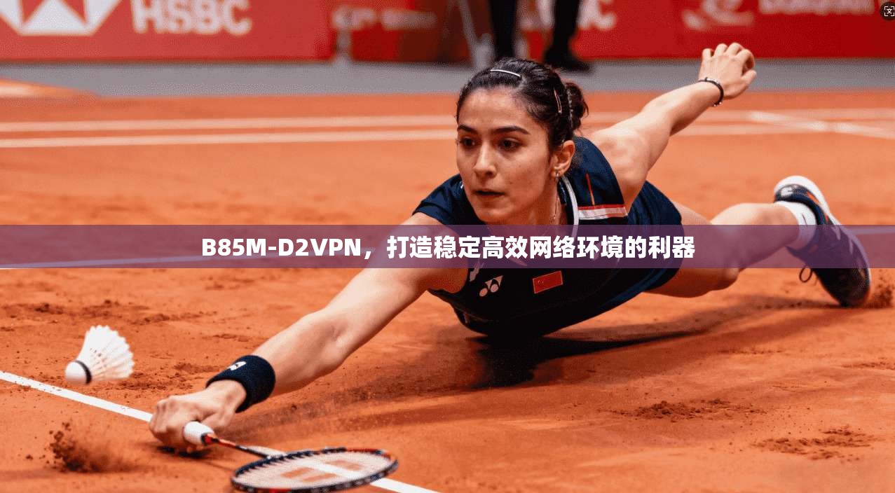B85M-D2VPN，打造稳定高效网络环境的利器