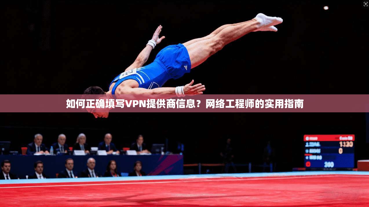 如何正确填写VPN提供商信息？网络工程师的实用指南