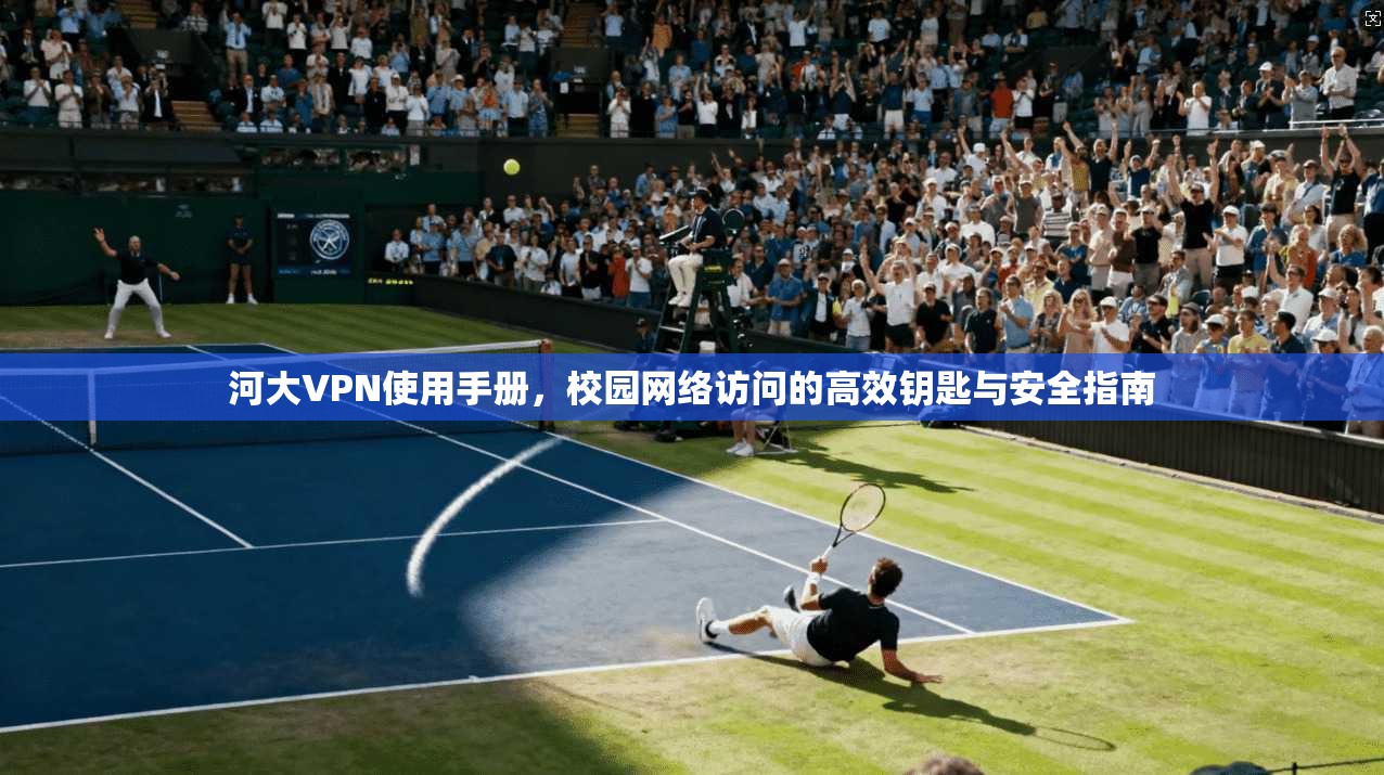 河大VPN使用手册，校园网络访问的高效钥匙与安全指南