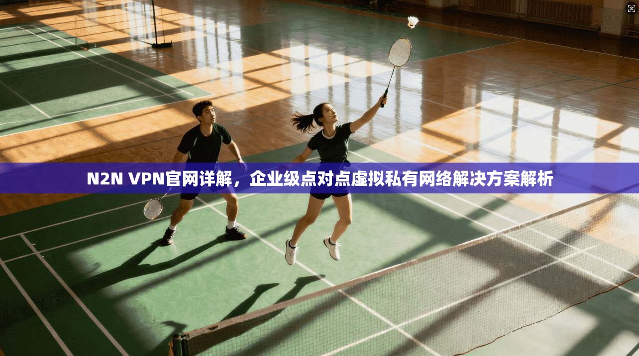 N2N VPN官网详解，企业级点对点虚拟私有网络解决方案解析