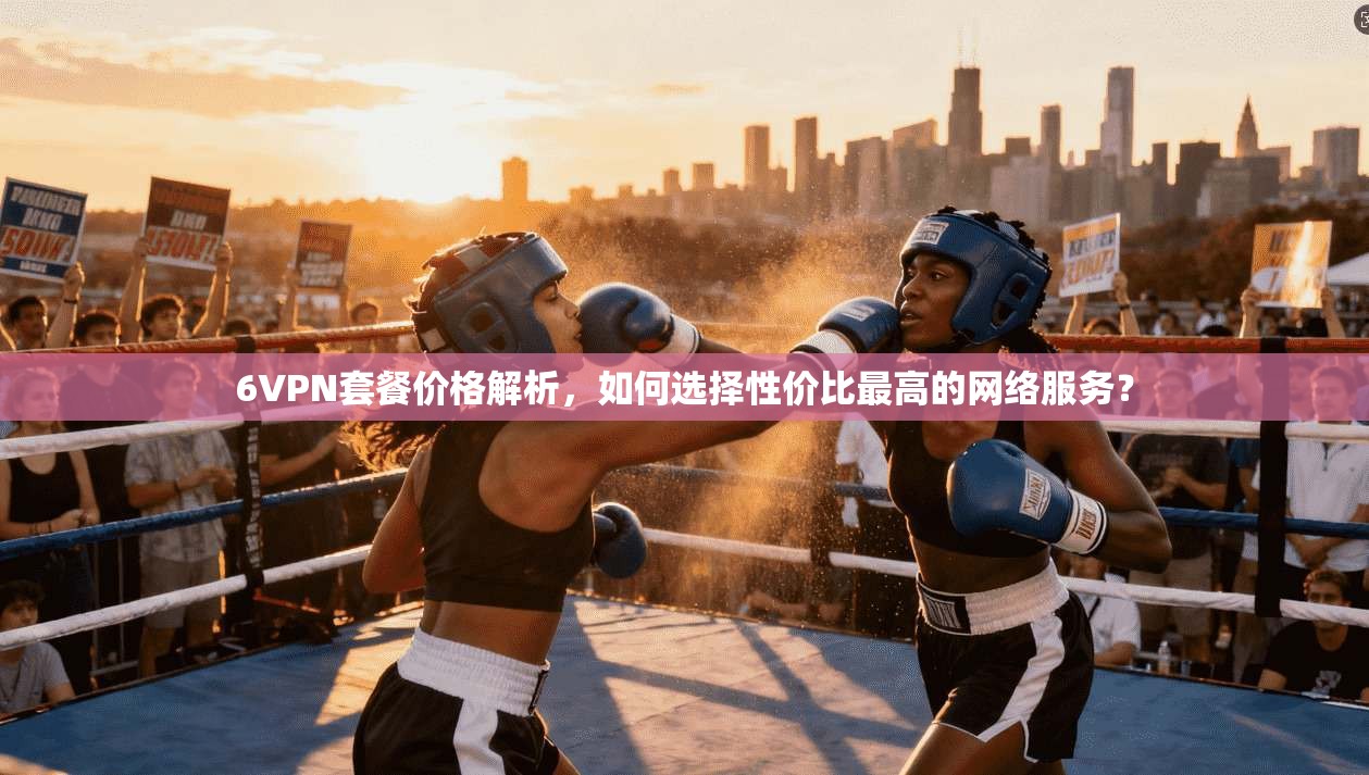 6VPN套餐价格解析，如何选择性价比最高的网络服务？