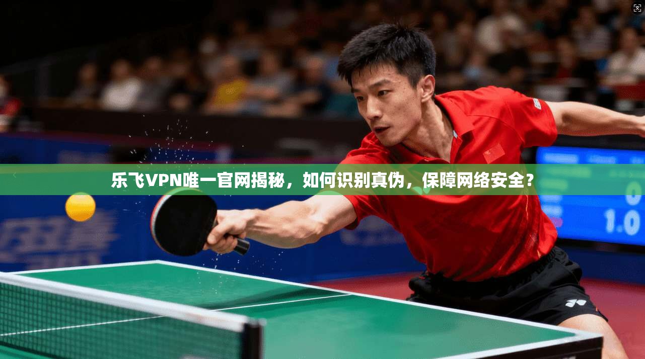 乐飞VPN唯一官网揭秘，如何识别真伪，保障网络安全？