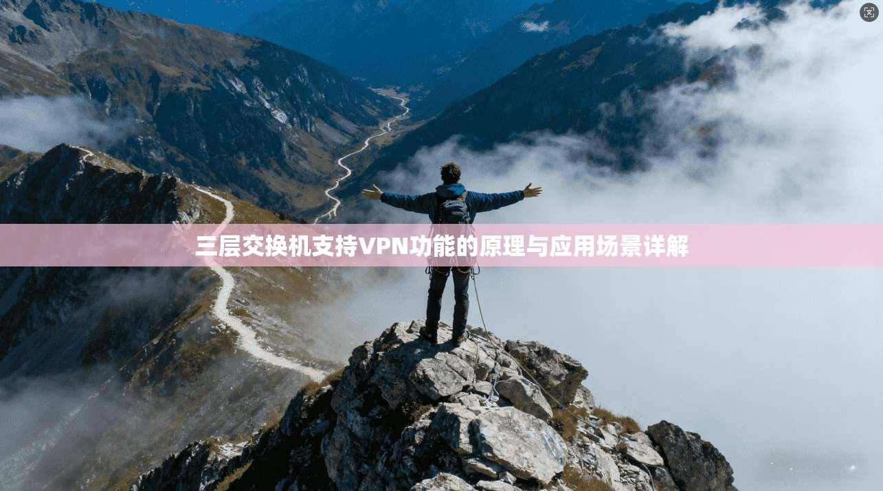 三层交换机支持VPN功能的原理与应用场景详解