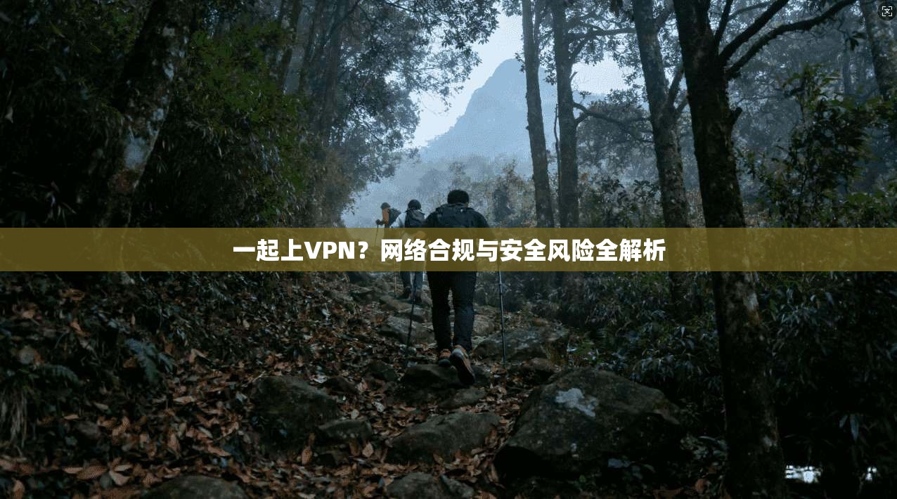 一起上VPN？网络合规与安全风险全解析