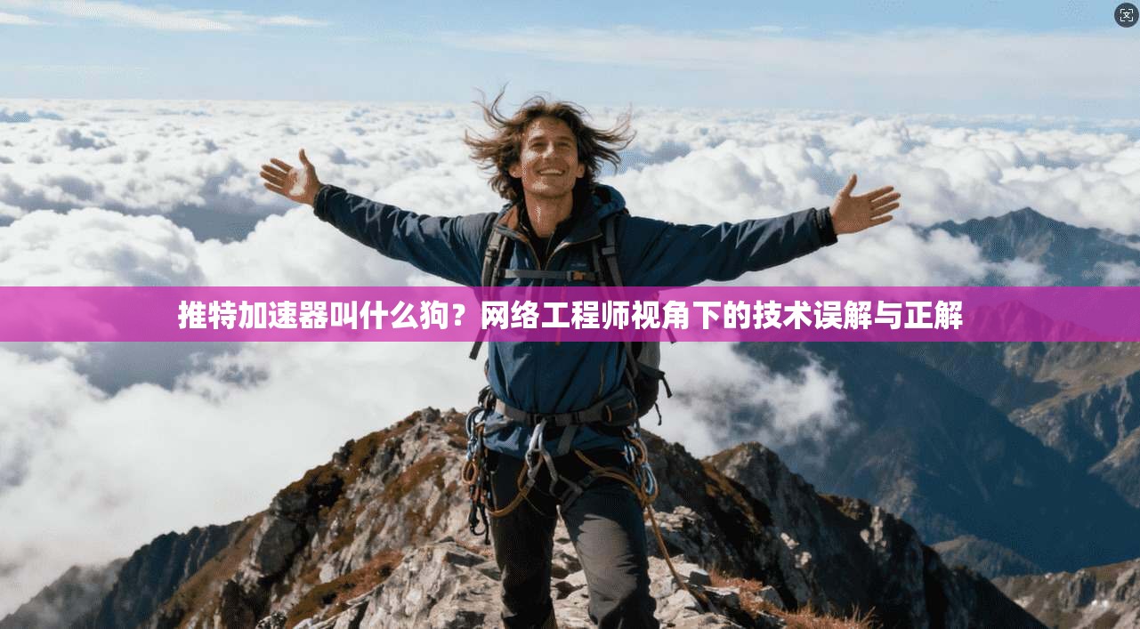 推特加速器叫什么狗？网络工程师视角下的技术误解与正解