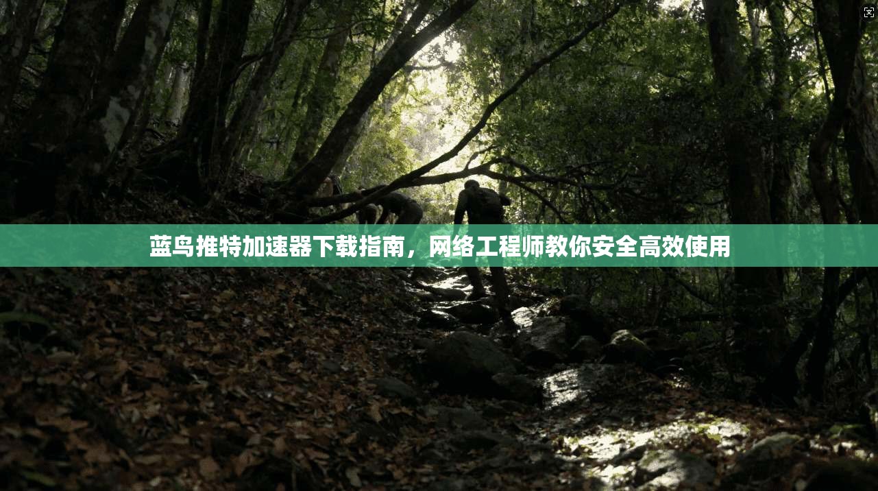 蓝鸟推特加速器下载指南，网络工程师教你安全高效使用
