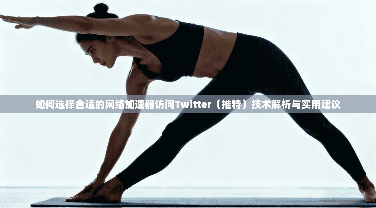 如何选择合适的网络加速器访问Twitter（推特）技术解析与实用建议