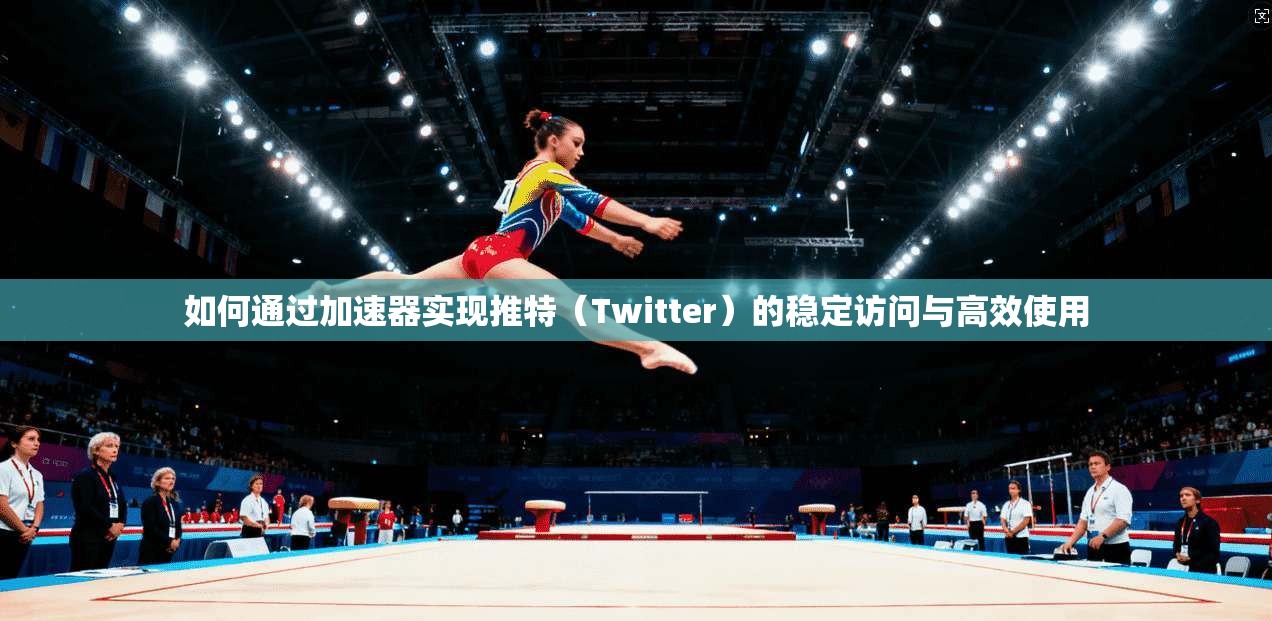 如何通过加速器实现推特（Twitter）的稳定访问与高效使用