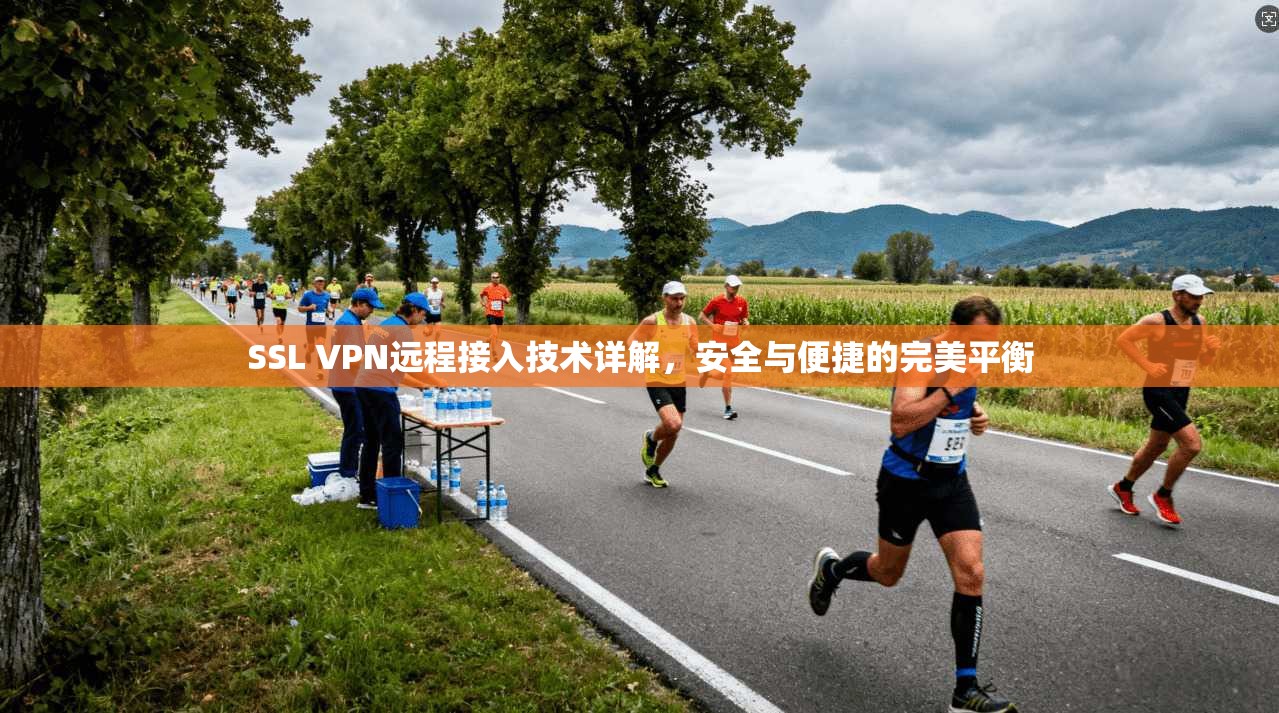 SSL VPN远程接入技术详解，安全与便捷的完美平衡