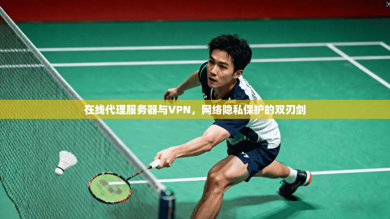 在线代理服务器与VPN，网络隐私保护的双刃剑