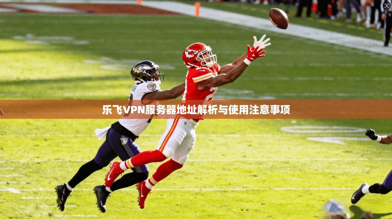 乐飞VPN服务器地址解析与使用注意事项