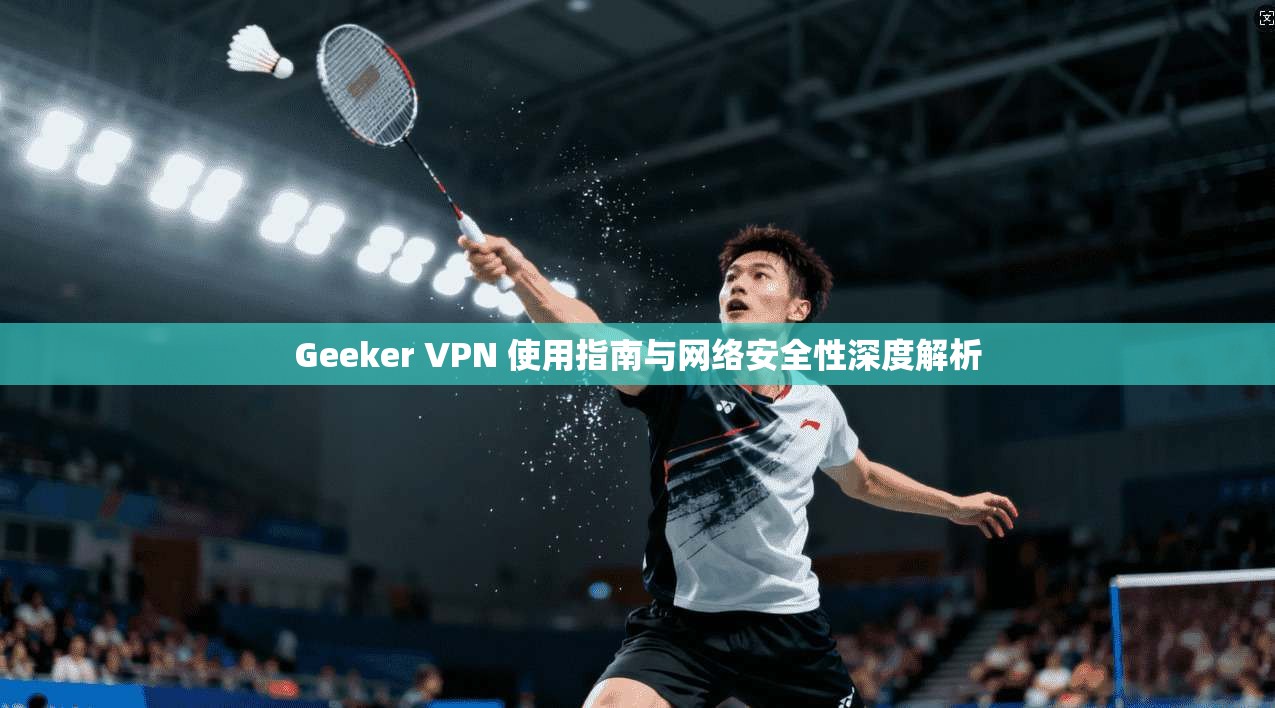 Geeker VPN 使用指南与网络安全性深度解析