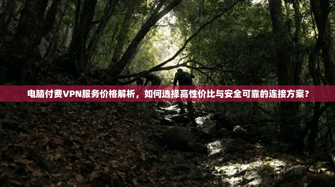 电脑付费VPN服务价格解析，如何选择高性价比与安全可靠的连接方案？