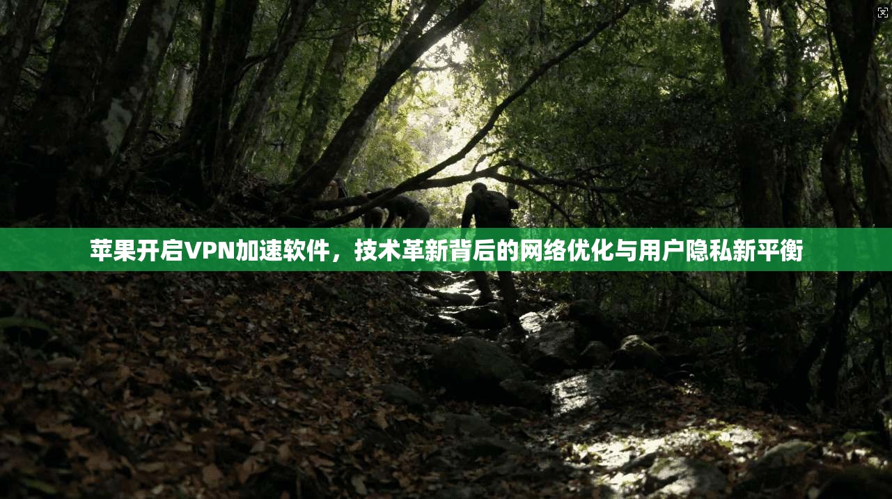 苹果开启VPN加速软件，技术革新背后的网络优化与用户隐私新平衡
