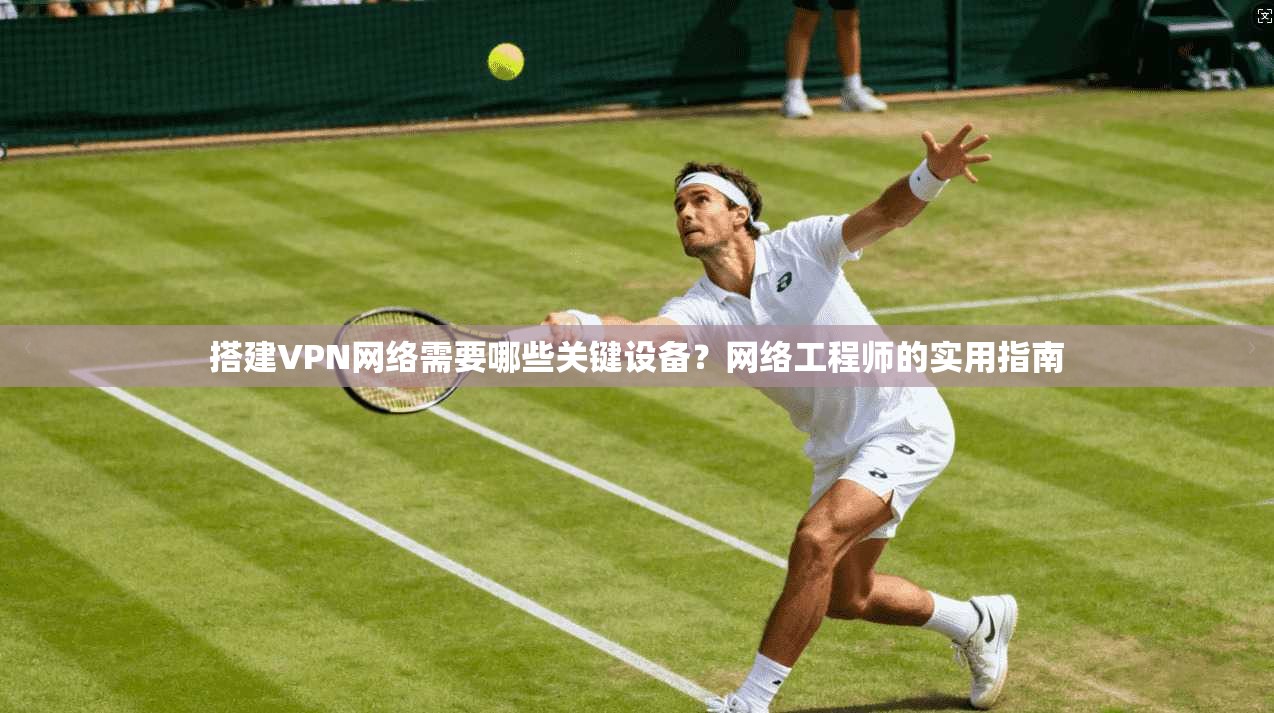 搭建VPN网络需要哪些关键设备？网络工程师的实用指南
