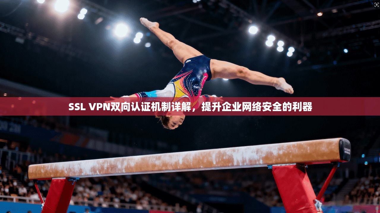 SSL VPN双向认证机制详解，提升企业网络安全的利器