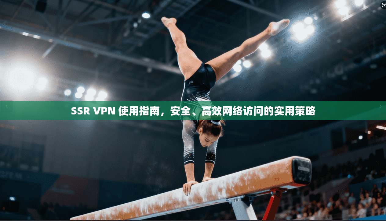 SSR VPN 使用指南，安全、高效网络访问的实用策略