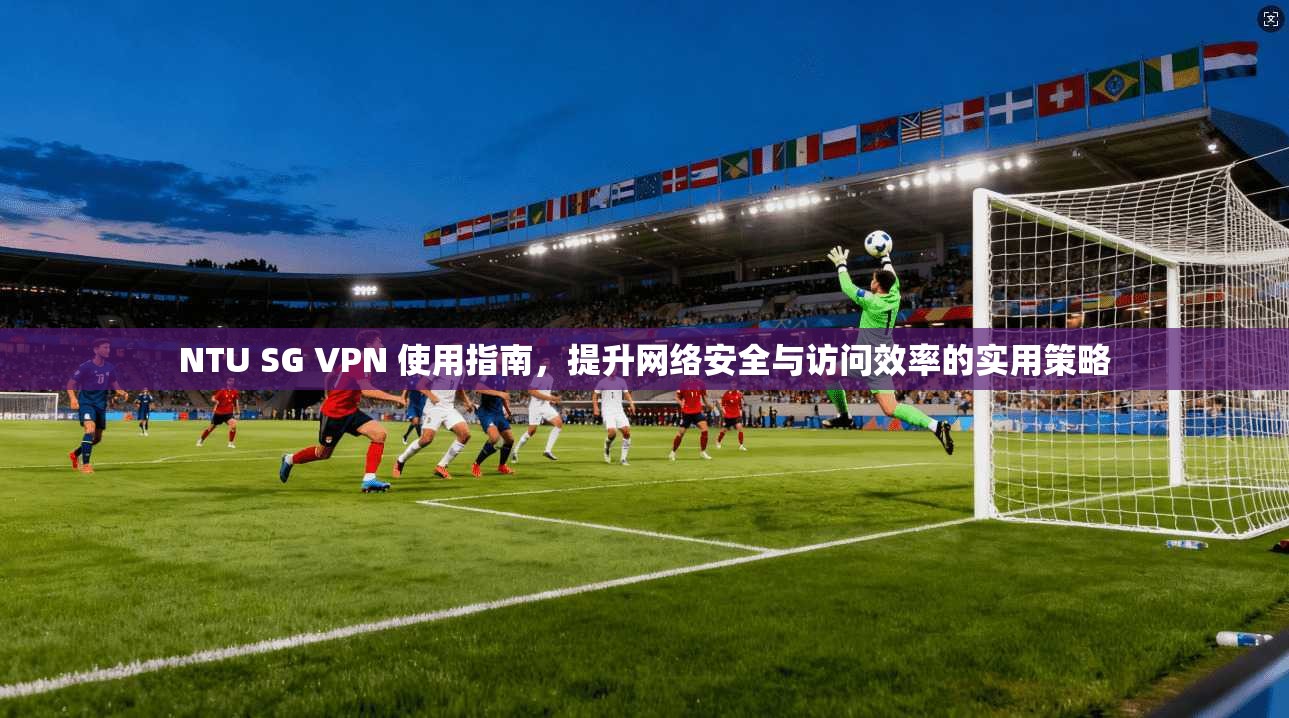 NTU SG VPN 使用指南，提升网络安全与访问效率的实用策略