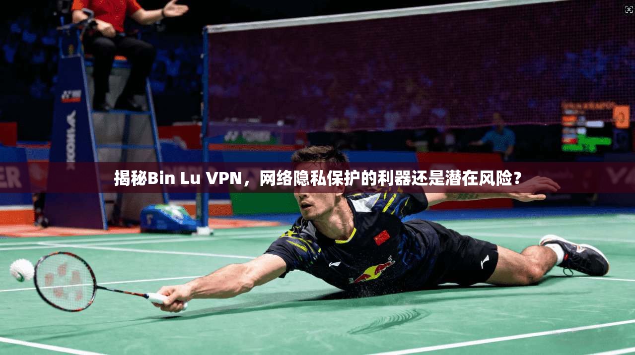 揭秘Bin Lu VPN，网络隐私保护的利器还是潜在风险？