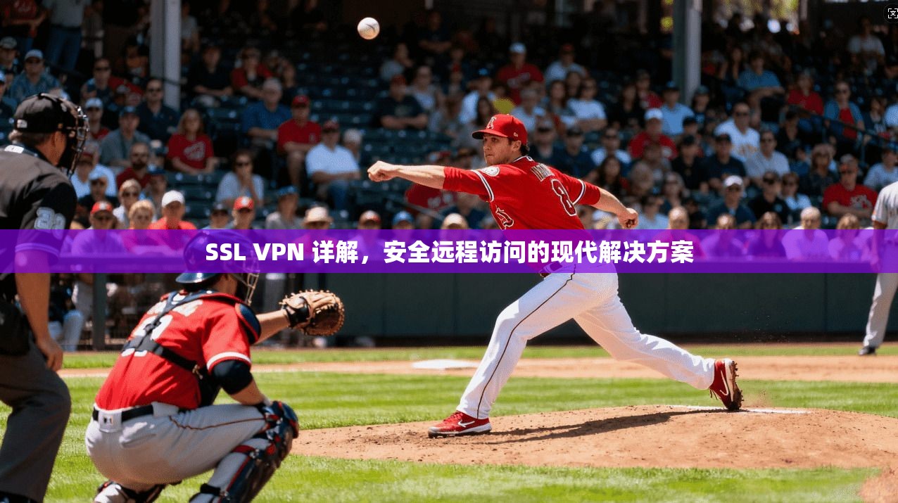 SSL VPN 详解,安全远程访问的现代解决方案 SSL VPN 详解,安全远程访问的现代解决方案