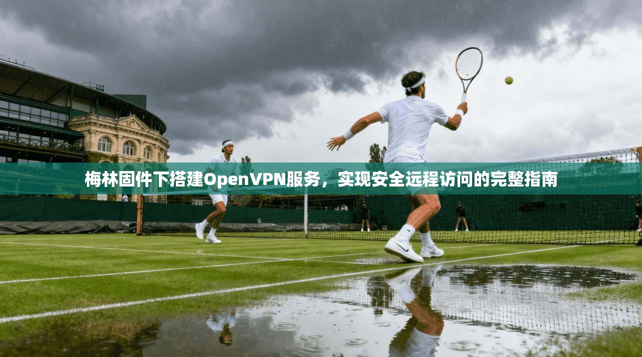 梅林固件下搭建OpenVPN服务,实现安全远程访问的完整指南 梅林固件下搭建OpenVPN服务,实现安全远程访问的完整指南
