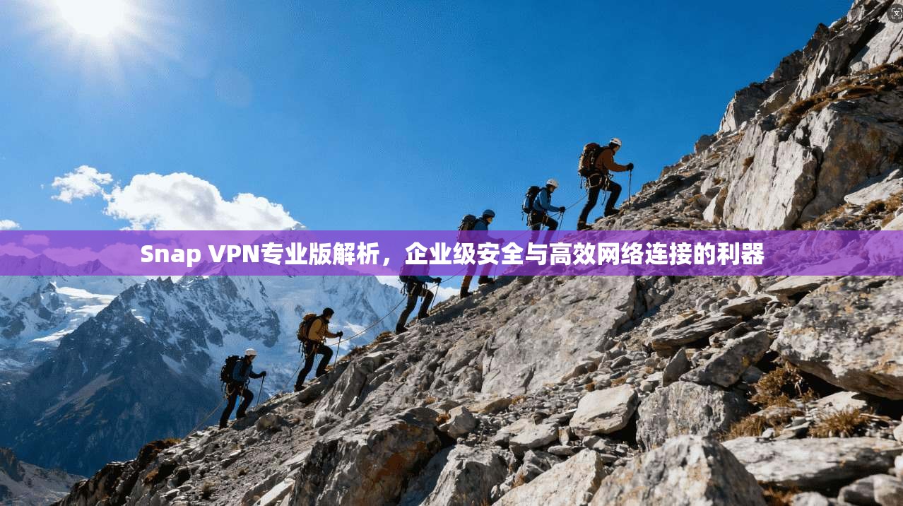 Snap VPN专业版解析，企业级安全与高效网络连接的利器