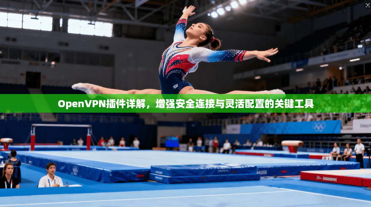 OpenVPN插件详解，增强安全连接与灵活配置的关键工具