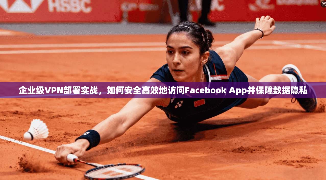企业级VPN部署实战，如何安全高效地访问Facebook App并保障数据隐私