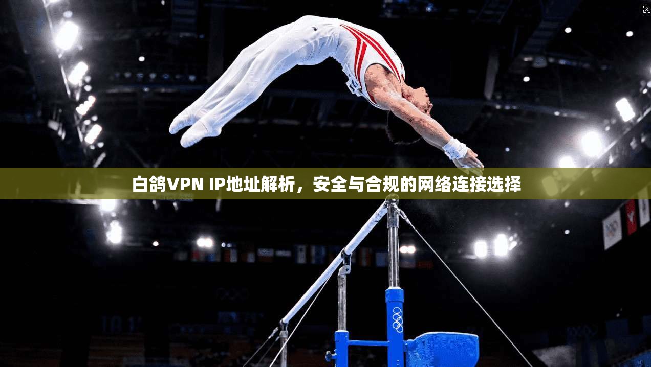 白鸽VPN IP地址解析,安全与合规的网络连接选择 白鸽VPN IP地址解析,安全与合规的网络连接选择