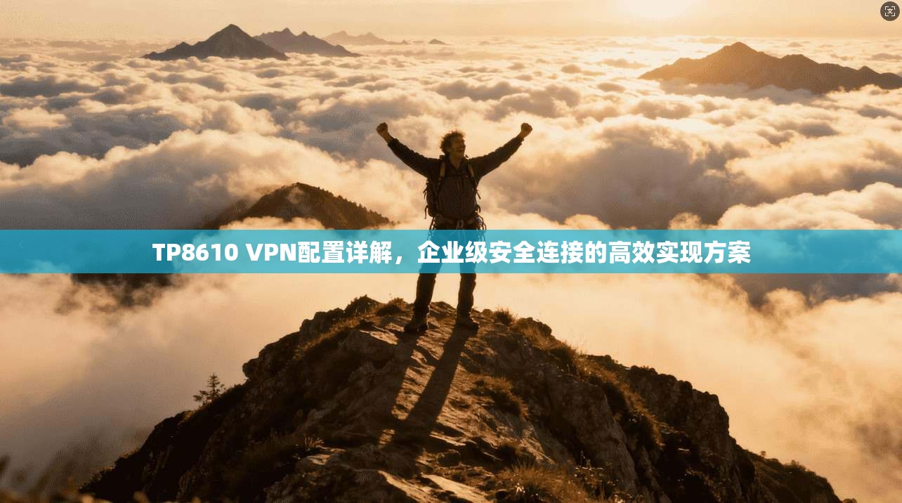 TP8610 VPN配置详解，企业级安全连接的高效实现方案