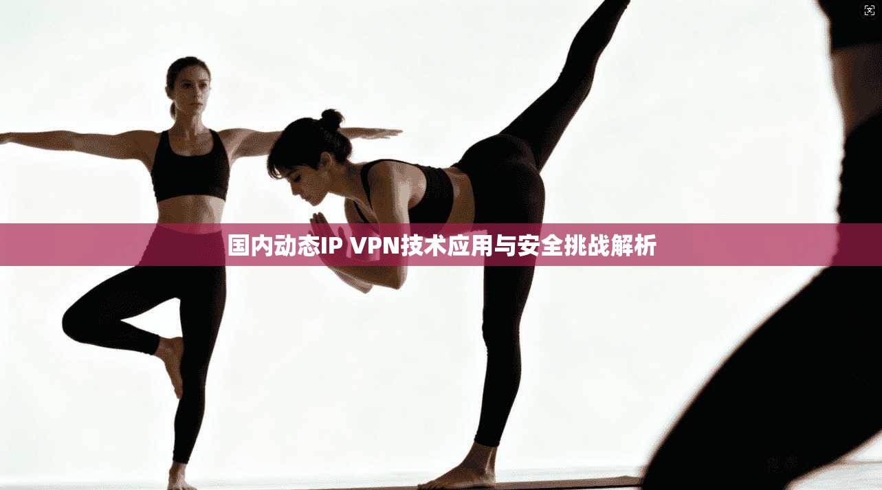 国内动态IP VPN技术应用与安全挑战解析 国内动态IP VPN技术应用与安全挑战解析