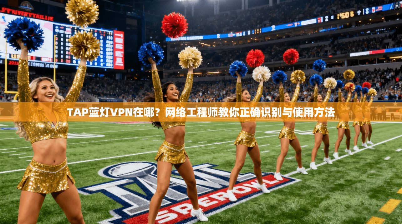 TAP蓝灯VPN在哪？网络工程师教你正确识别与使用方法
