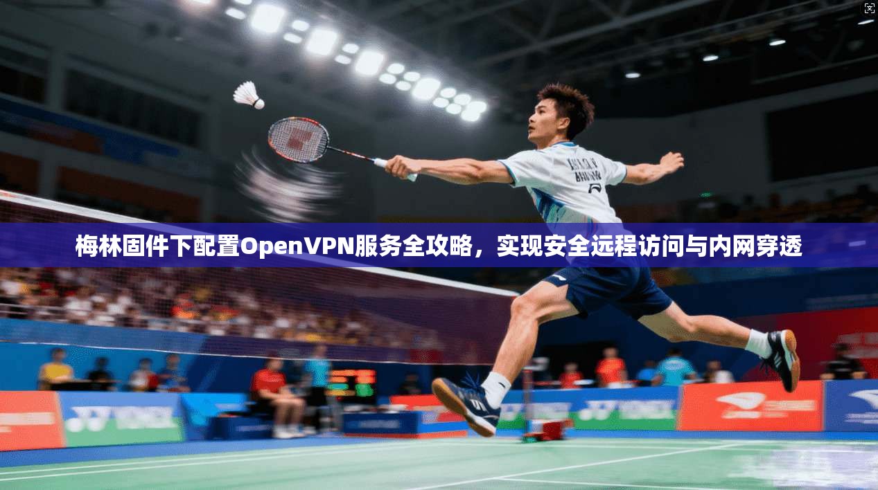 梅林固件下配置OpenVPN服务全攻略，实现安全远程访问与内网穿透