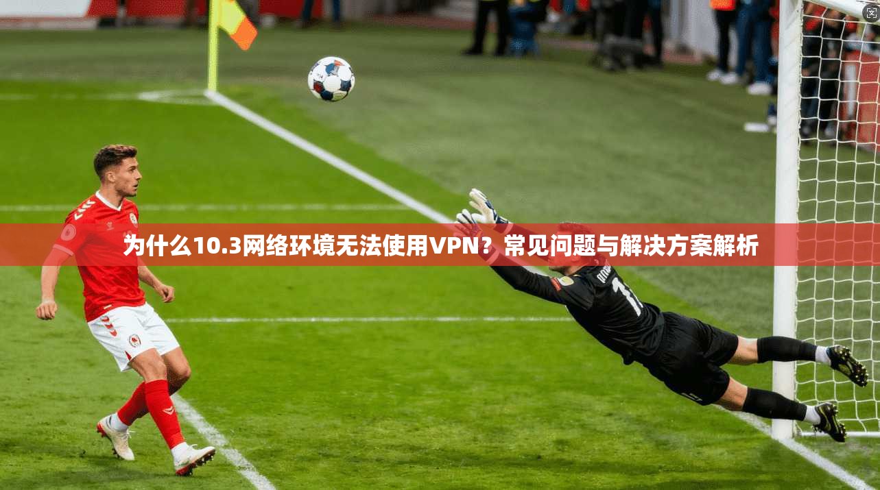 为什么10.3网络环境无法使用VPN？常见问题与解决方案解析