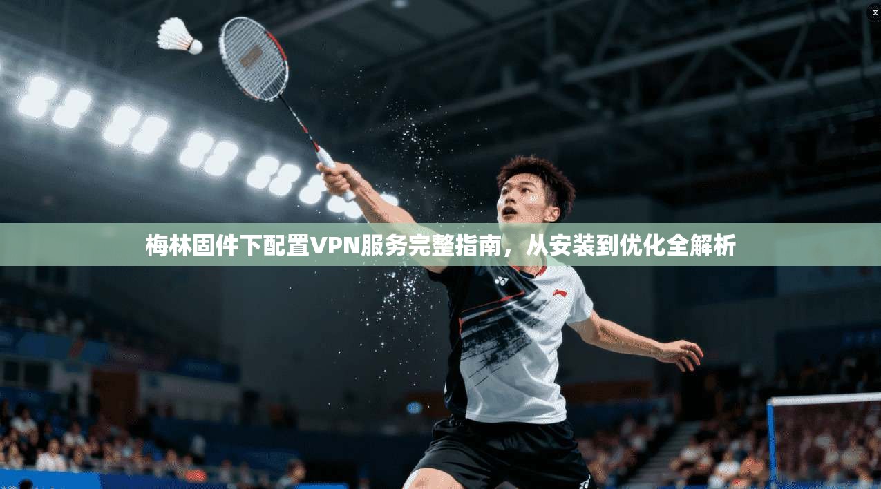 梅林固件下配置VPN服务完整指南，从安装到优化全解析