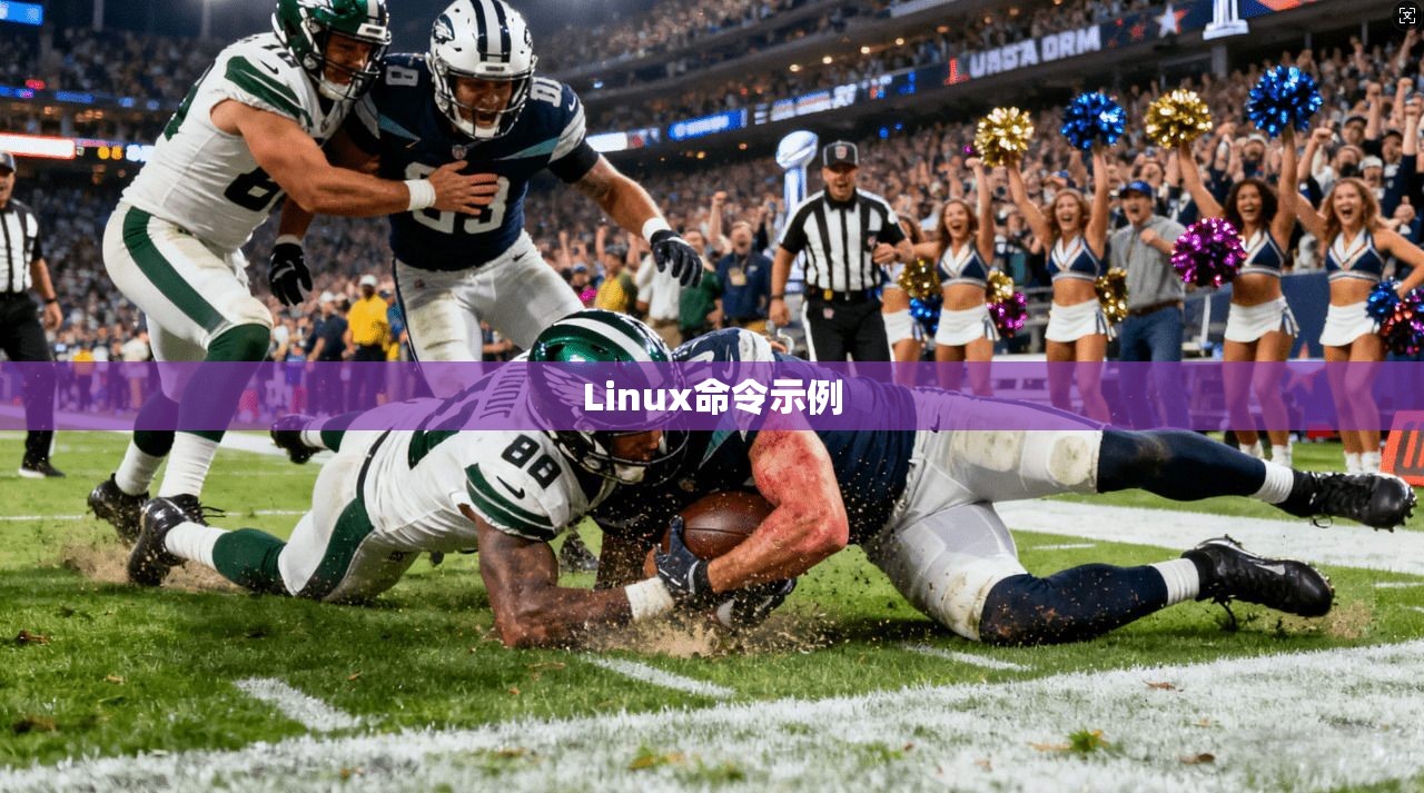 Linux命令示例