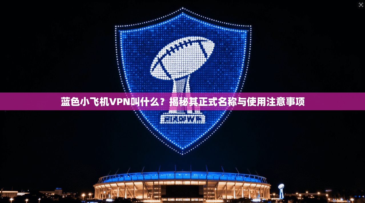 蓝色小飞机VPN叫什么？揭秘其正式名称与使用注意事项