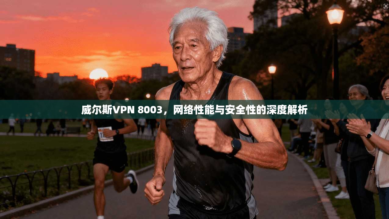 威尔斯VPN 8003，网络性能与安全性的深度解析