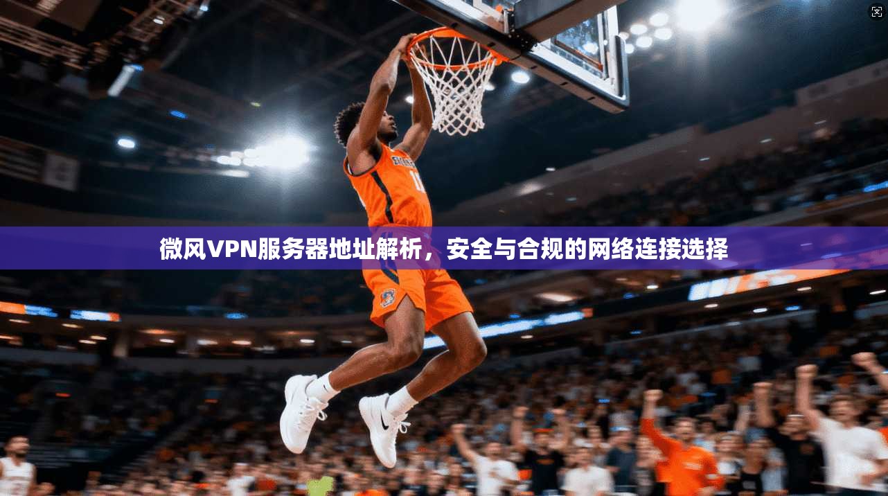 微风VPN服务器地址解析，安全与合规的网络连接选择